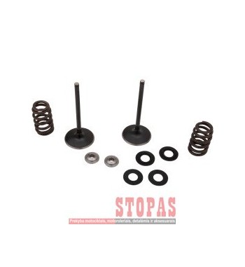 MOOSE RACING HARD-PARTS Stainless Intake Valve and Spring Kit
