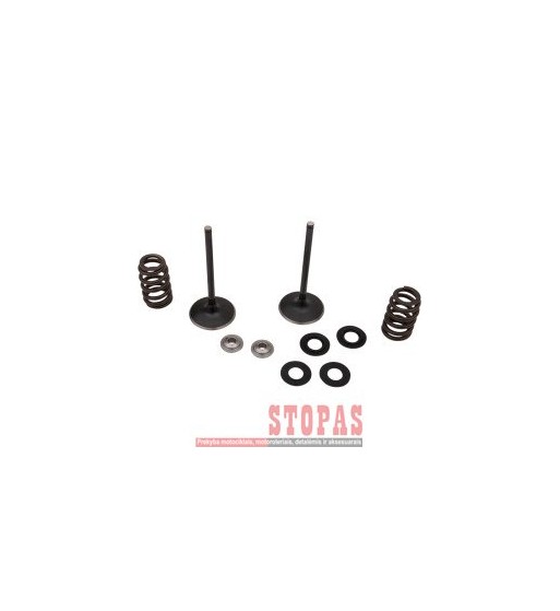 MOOSE RACING HARD-PARTS Stainless Intake Valve and Spring Kit