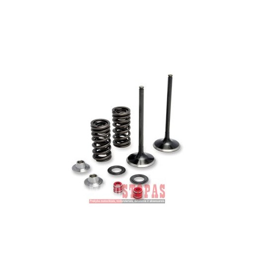 MOOSE RACING HARD-PARTS VALVE KIT INTAKE STAINLESS STEEL