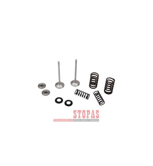 MOOSE RACING HARD-PARTS Stainless Exhaust Valve and Spring Kit