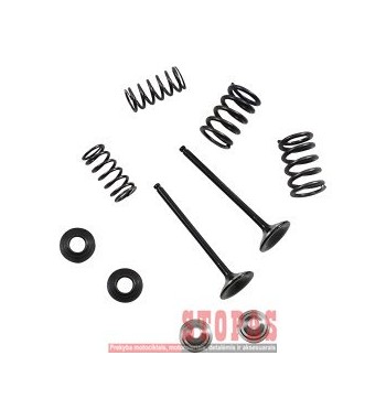 MOOSE RACING HARD-PARTS Stainless Exhaust Valve and Spring Kit