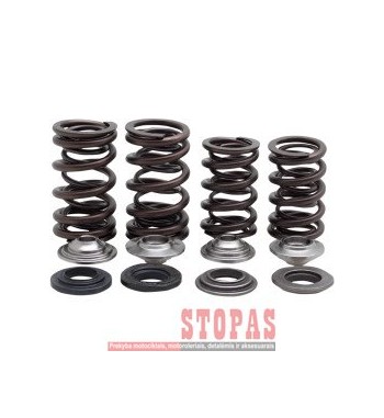 KIBBLEWHITE SPRING KIT RACING TITANIUM RETAINER