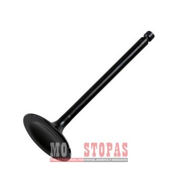 HOT CAMS  ĮSIURBIMO VOŽTUVAS POLARIS