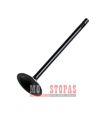HOT CAMS  ĮSIURBIMO VOŽTUVAS POLARIS