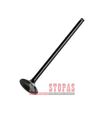 HOT CAMS  IŠMETIMO VOŽTUVAS POLARIS