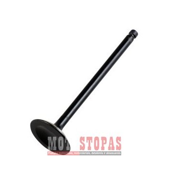 HOT CAMS  ĮSIURBIMO VOŽTUVAS POLARIS