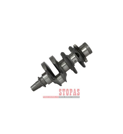 HOT RODS CRANKSHAFT POLARIS