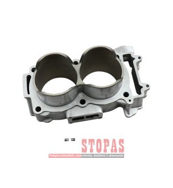 CYLINDER WORKS Cilindras POLARIS
