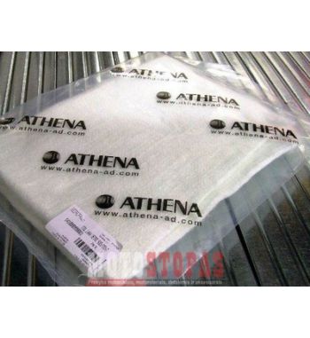 ATHENA VATA DUSLINTUVUI