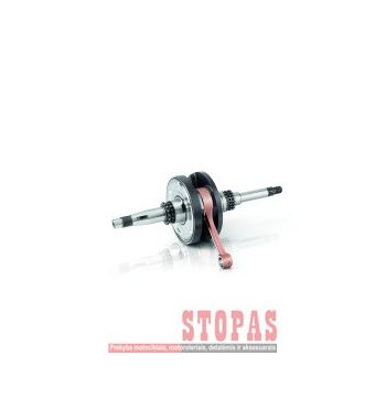 JASIL ALKŪNINIS VELENAS 