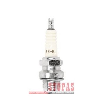NGK SPARK PLUGS ŽVAKĖ 