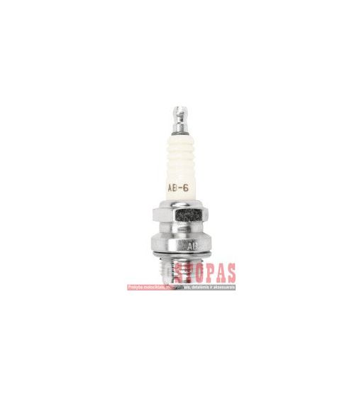 NGK SPARK PLUGS ŽVAKĖ 