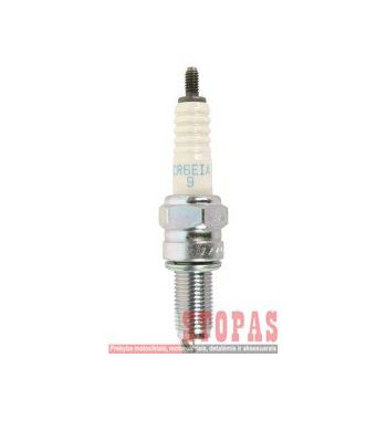 NGK SPARK PLUGS ŽVAKĖ SUZUKI