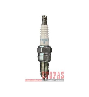 NGK SPARK PLUGS ŽVAKĖ 