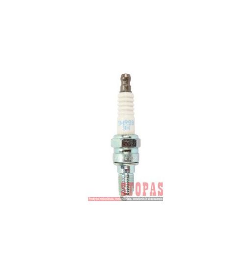 NGK SPARK PLUGS ŽVAKĖ HONDA