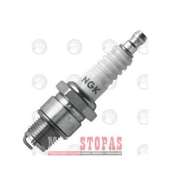 NGK SPARK PLUGS ŽVAKĖ 