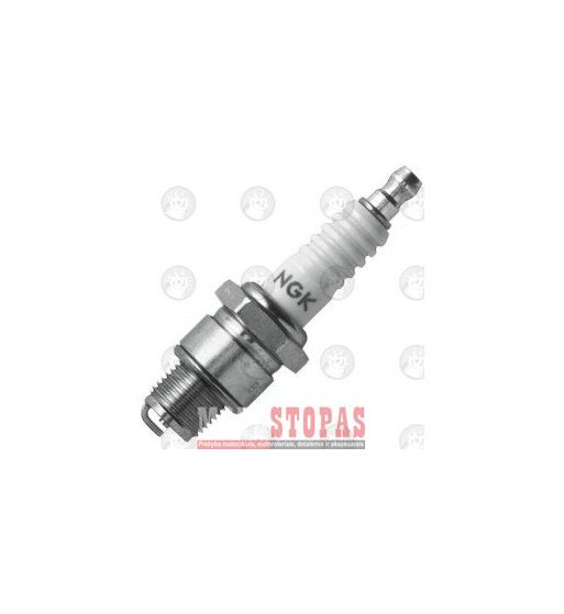 NGK SPARK PLUGS ŽVAKĖ 