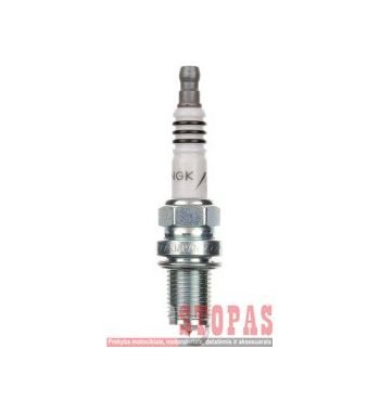NGK SPARK PLUGS ŽVAKĖ BMW/CAGIVA
