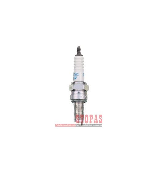 NGK SPARK PLUGS ŽVAKĖ SUZUKI