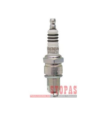 NGK SPARK PLUGS ŽVAKĖ BETA/BMW/GAS GAS/MOTO GUZZI/YAMAHA/SUZUKI
