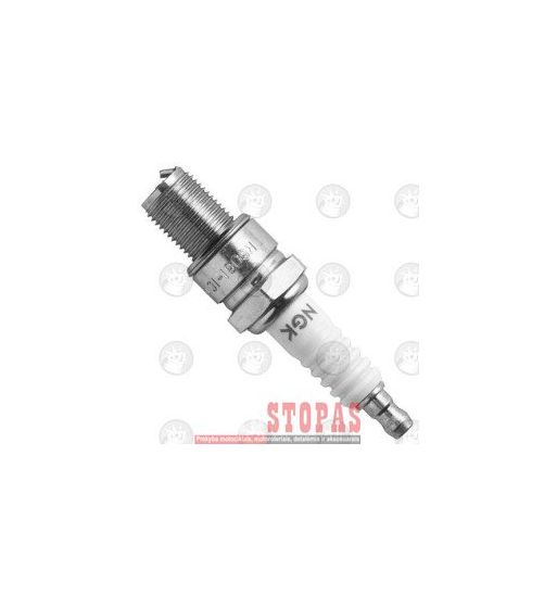 NGK SPARK PLUGS ŽVAKĖ 