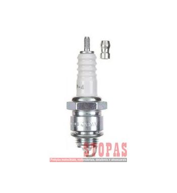 NGK SPARK PLUGS ŽVAKĖ 