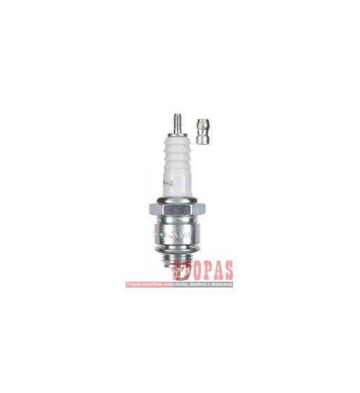 NGK SPARK PLUGS ŽVAKĖ 