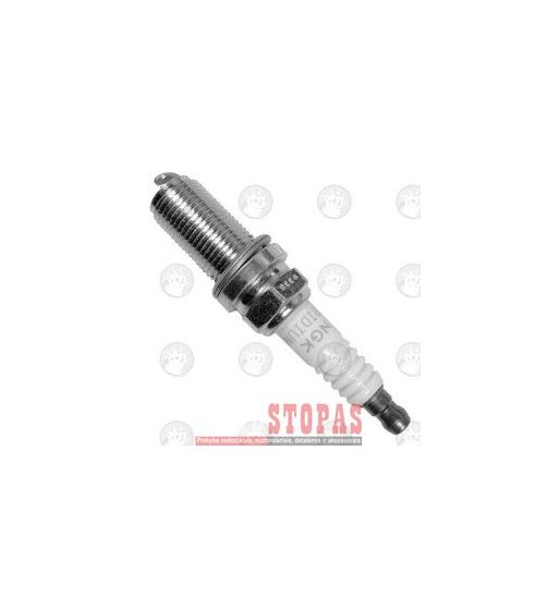 NGK SPARK PLUGS ŽVAKĖ 
