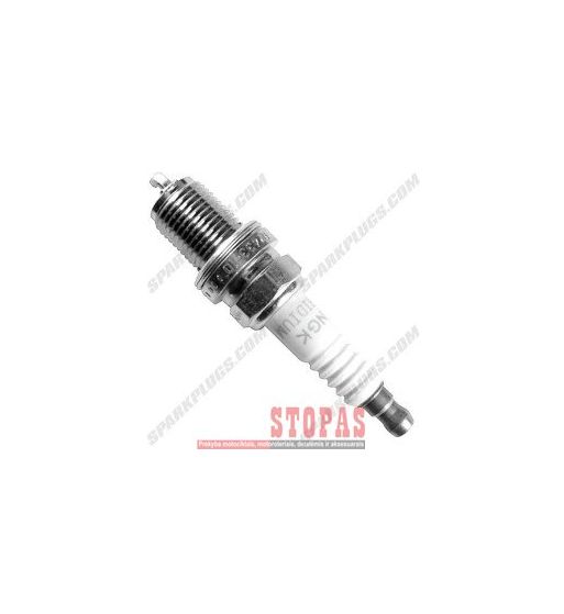 NGK SPARK PLUGS ŽVAKĖ 