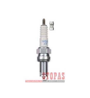 NGK SPARK PLUGS ŽVAKĖ 