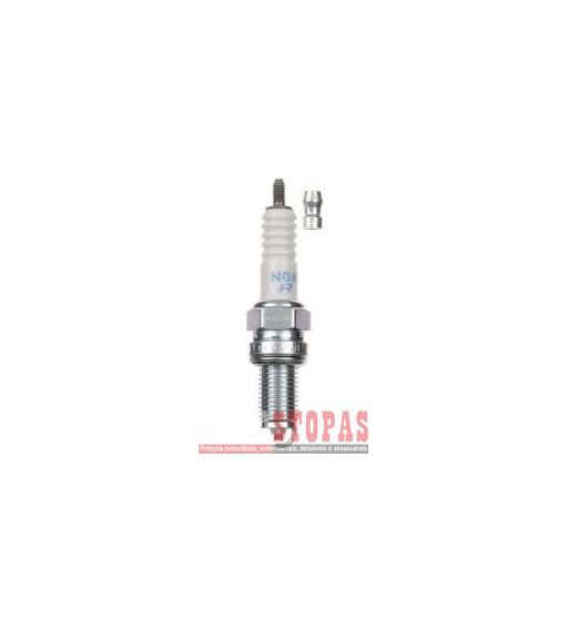 NGK SPARK PLUGS ŽVAKĖ 