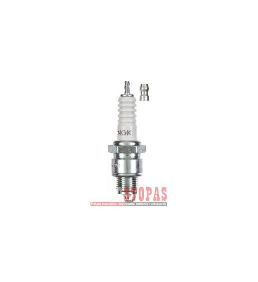NGK SPARK PLUGS ŽVAKĖ ITALJET/LML