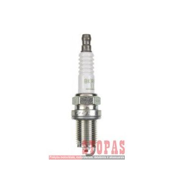 NGK SPARK PLUGS ŽVAKĖ HONDA