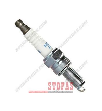NGK SPARK PLUGS ŽVAKĖ MV AGUSTA