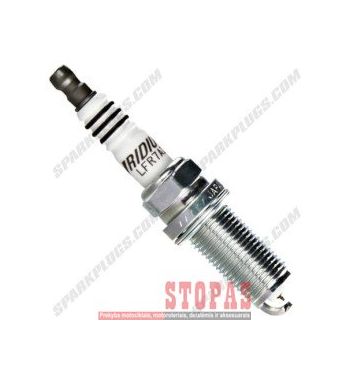 NGK SPARK PLUGS ŽVAKĖ 