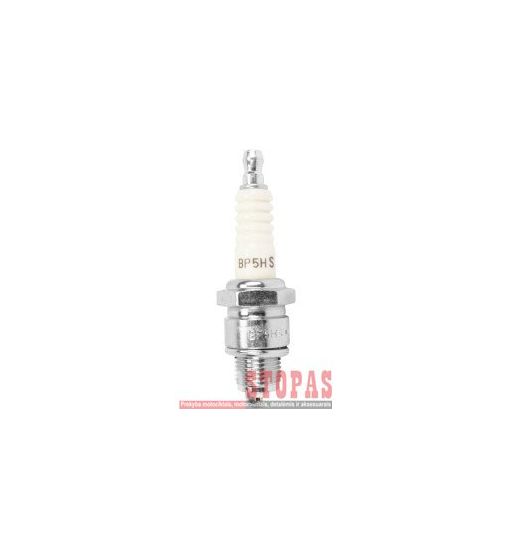NGK SPARK PLUGS ŽVAKĖ PEUGEOT