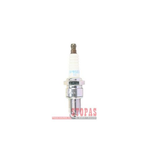 NGK SPARK PLUGS ŽVAKĖ Harley Davidson