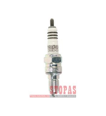 NGK SPARK PLUGS ŽVAKĖ DAELIM/HONDA/HYOSUNG/LML