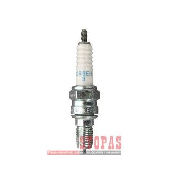 NGK SPARK PLUGS ŽVAKĖ DAELIM/HONDA