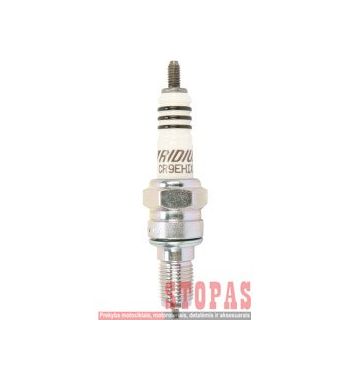 NGK SPARK PLUGS ŽVAKĖ DAELIM/HONDA