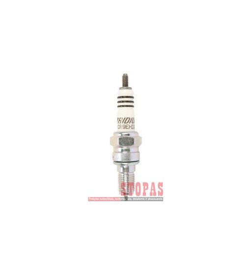 NGK SPARK PLUGS ŽVAKĖ DAELIM/HONDA