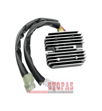 RICK'S MOTORSPORT ELECTRIC REC/REG SU DL/SV 650/1000