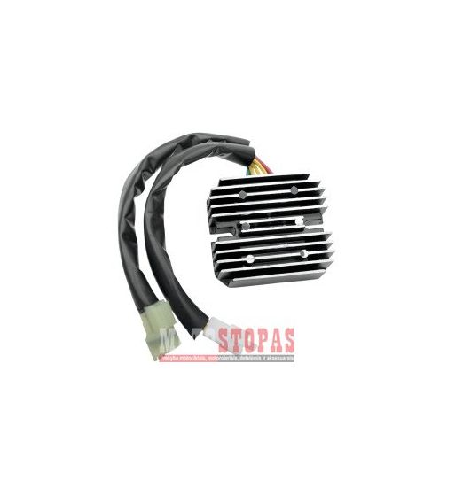 RICK'S MOTORSPORT ELECTRIC REC/REG SU DL/SV 650/1000