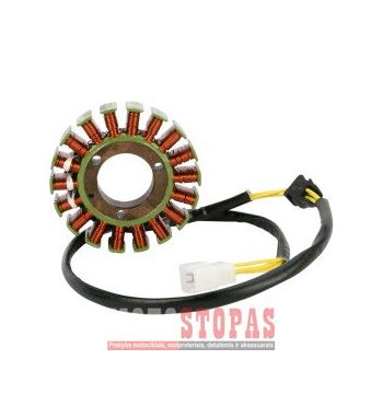 RICK'S MOTORSPORT ELECTRIC APVIJOS SUZUKI