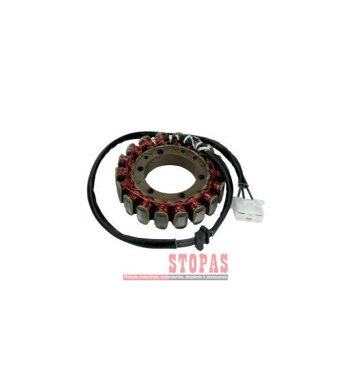 RICK'S MOTORSPORT ELECTRIC STATOR KAWASAKI