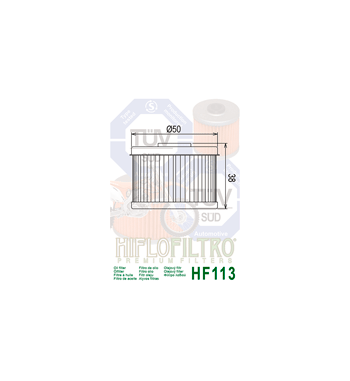 Alyvos filtras HIFLO HF113