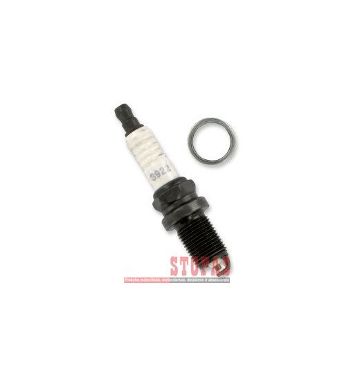 AUTOLITE PLUGS UŽDEGIMO STANDARD