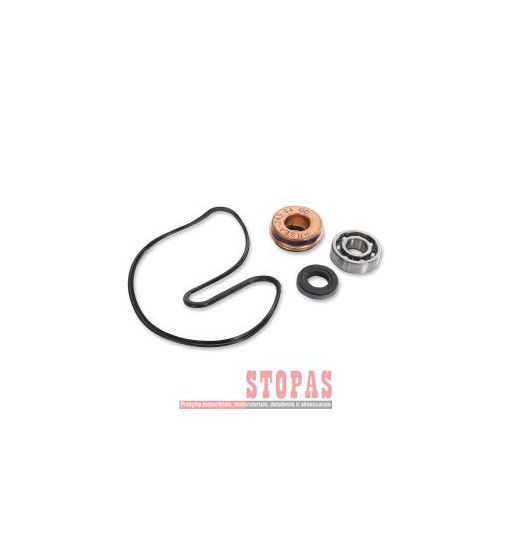 HOT RODS VANDENS POMPOS REMONTINIS KOMPLEKTAS POLARIS