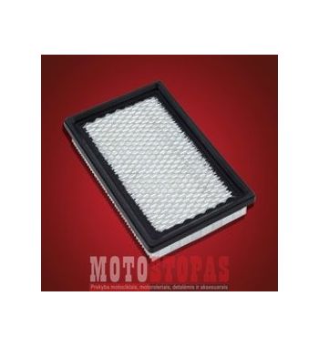 BIG BIKE PARTS AIR FILTER CAN AM RS/GS 