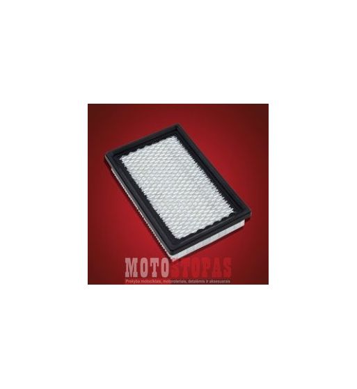 BIG BIKE PARTS AIR FILTER CAN AM RS/GS 